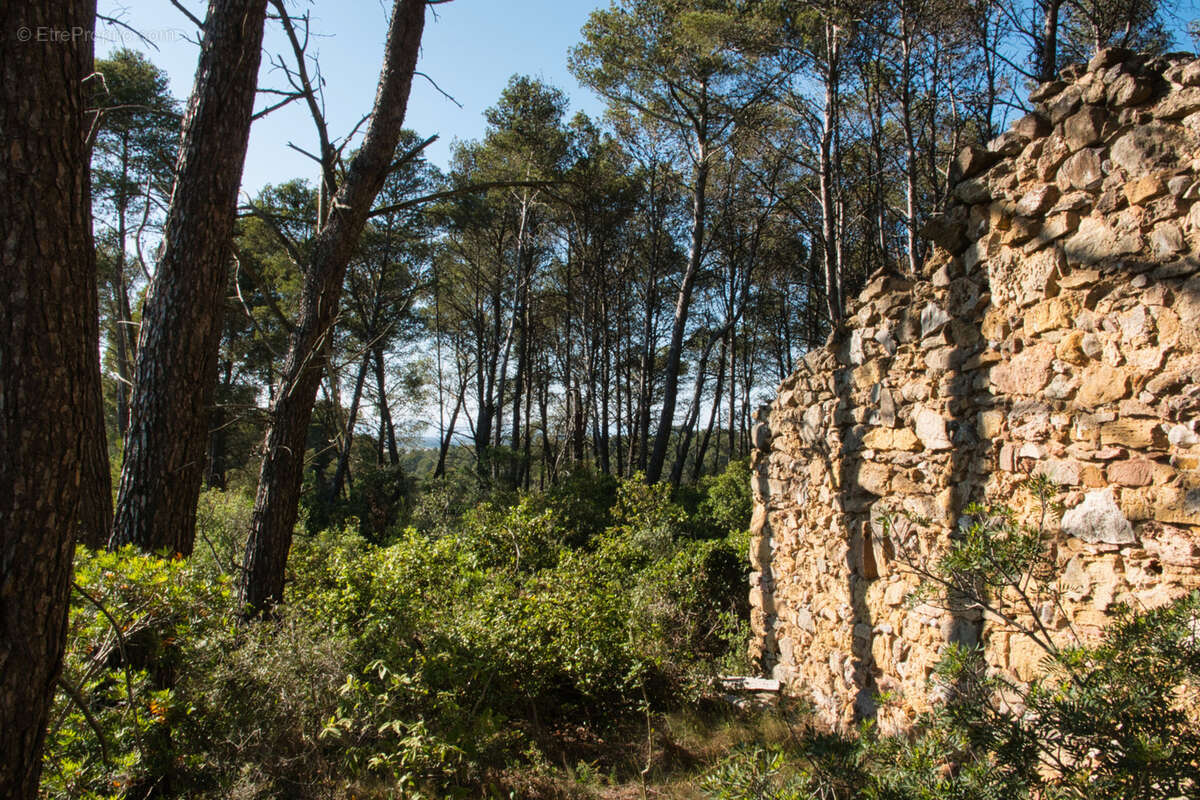 Terrain à FABREZAN