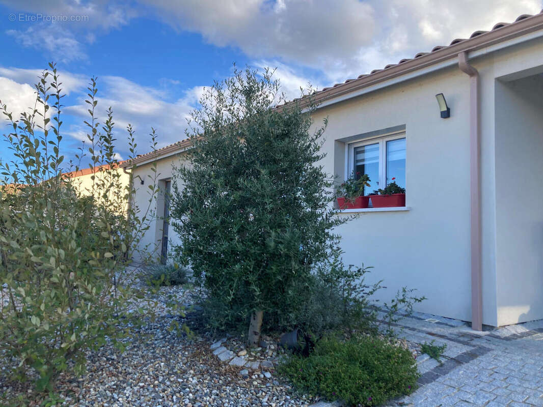 facade nord - Maison à CAHORS