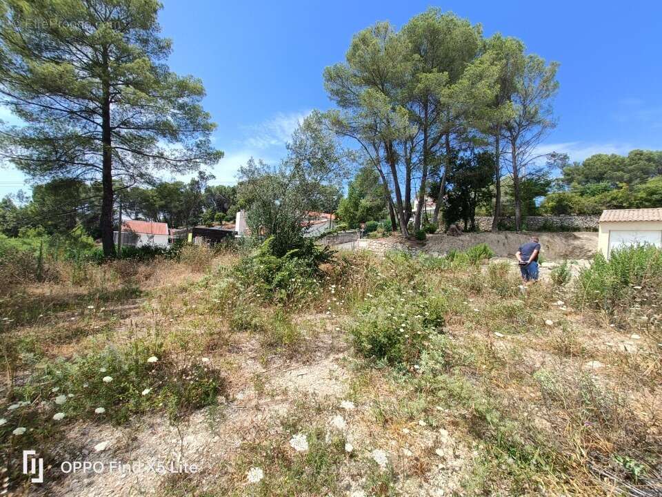 Terrain 774 m² à Draguignan  - photo 4