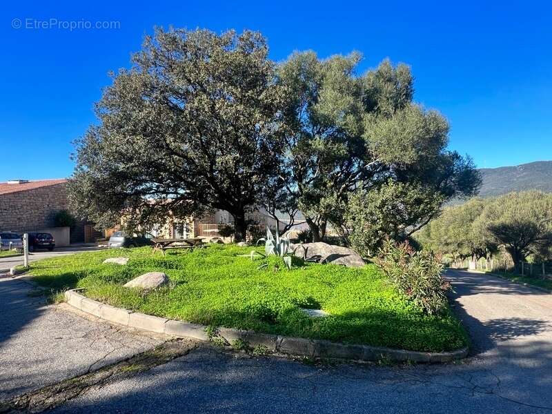 En Corse du Sud, à vendre 3 pièces SERRA DI FERRO (20) - photo 22
