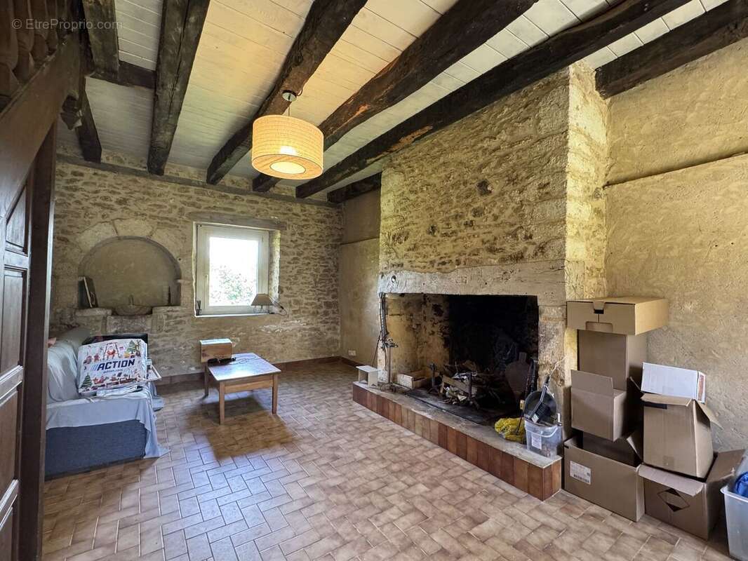 IMG3046 - Maison à SAINT-ANDRE-D'ALLAS
