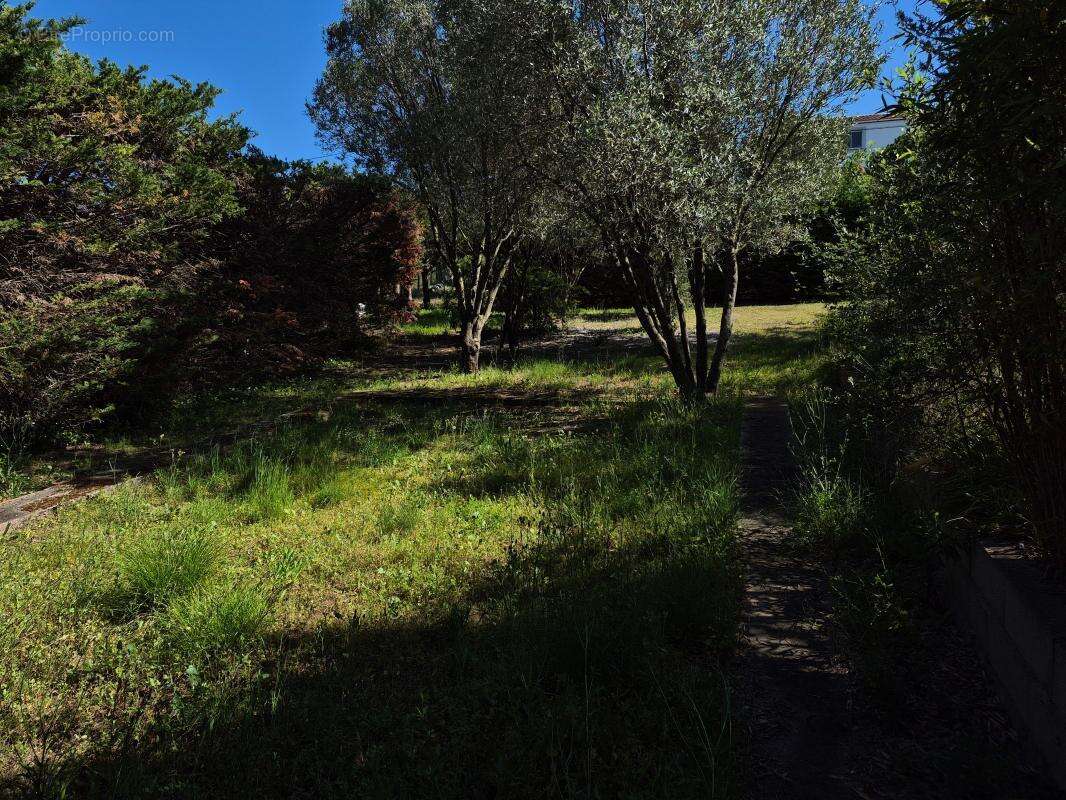 Maison À Vendre - photo 19