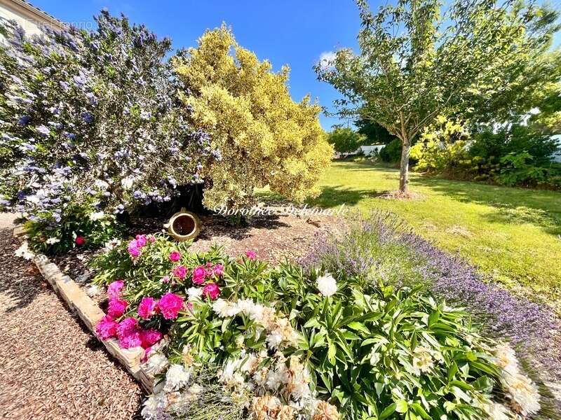 Maison à SAINT-DENIS-DU-PIN