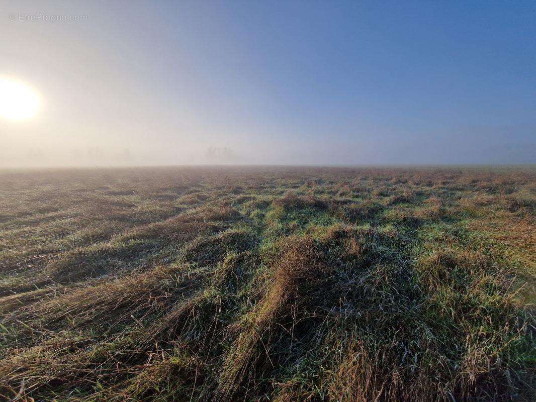 Terrain à CHATILLON-SUR-CHER