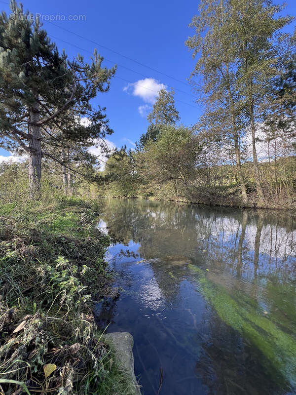 Exceptionnel domaine en bord de rivière sur plus d'un hectare - photo 18