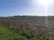 Terrain à MERVILLE