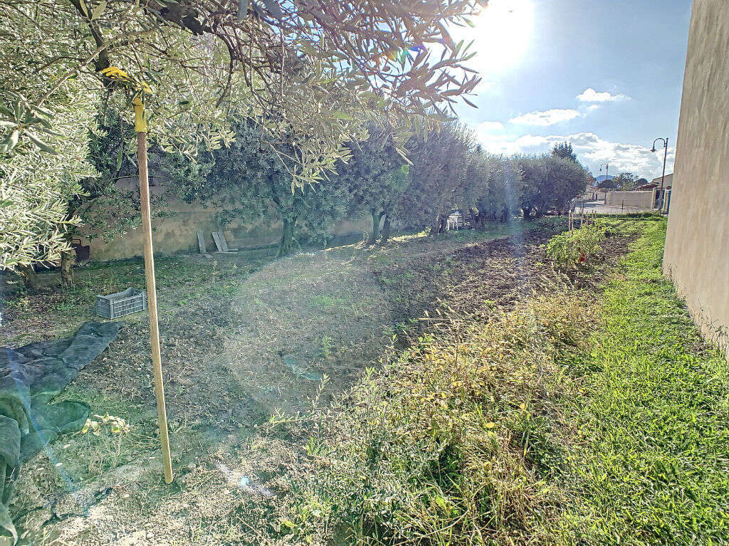 Terrain à CHEVAL-BLANC