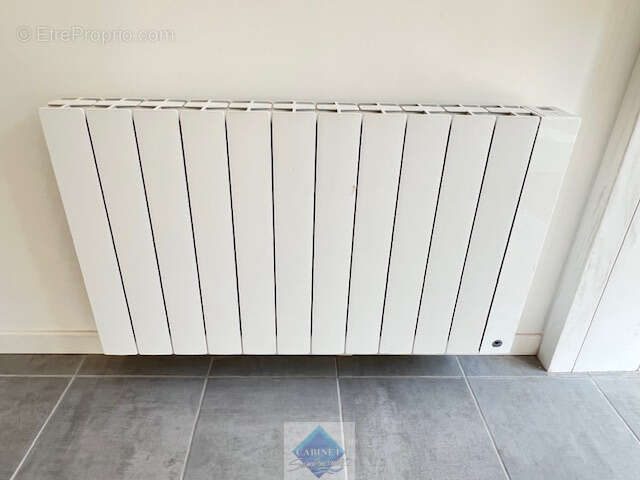 LOCAL PROFESSIONNEL pour commerce ou bureau - photo 11