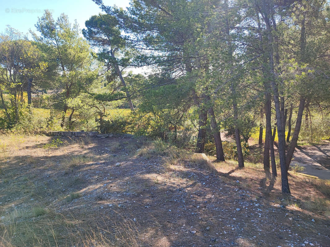 Terrain à RIEUX-MINERVOIS