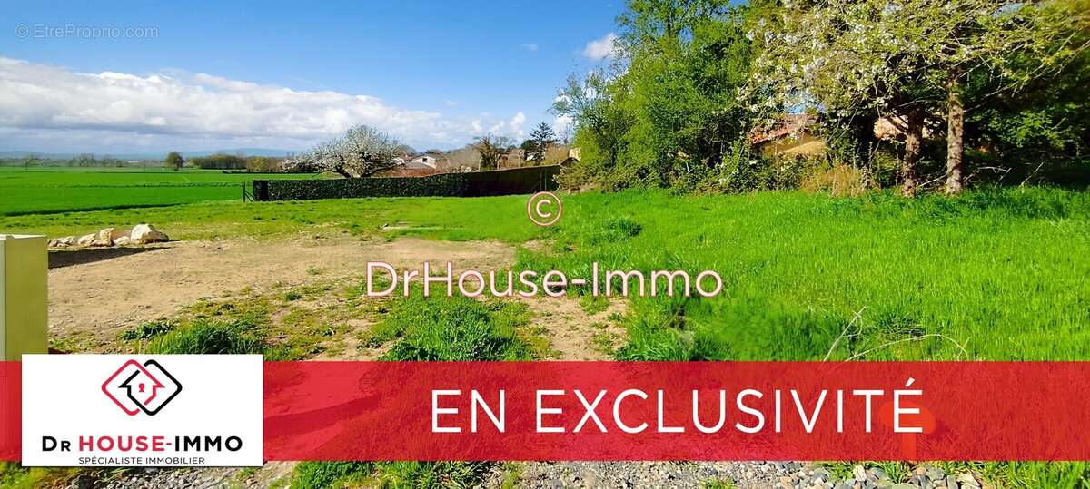 Terrain à SAINT-BERNARD