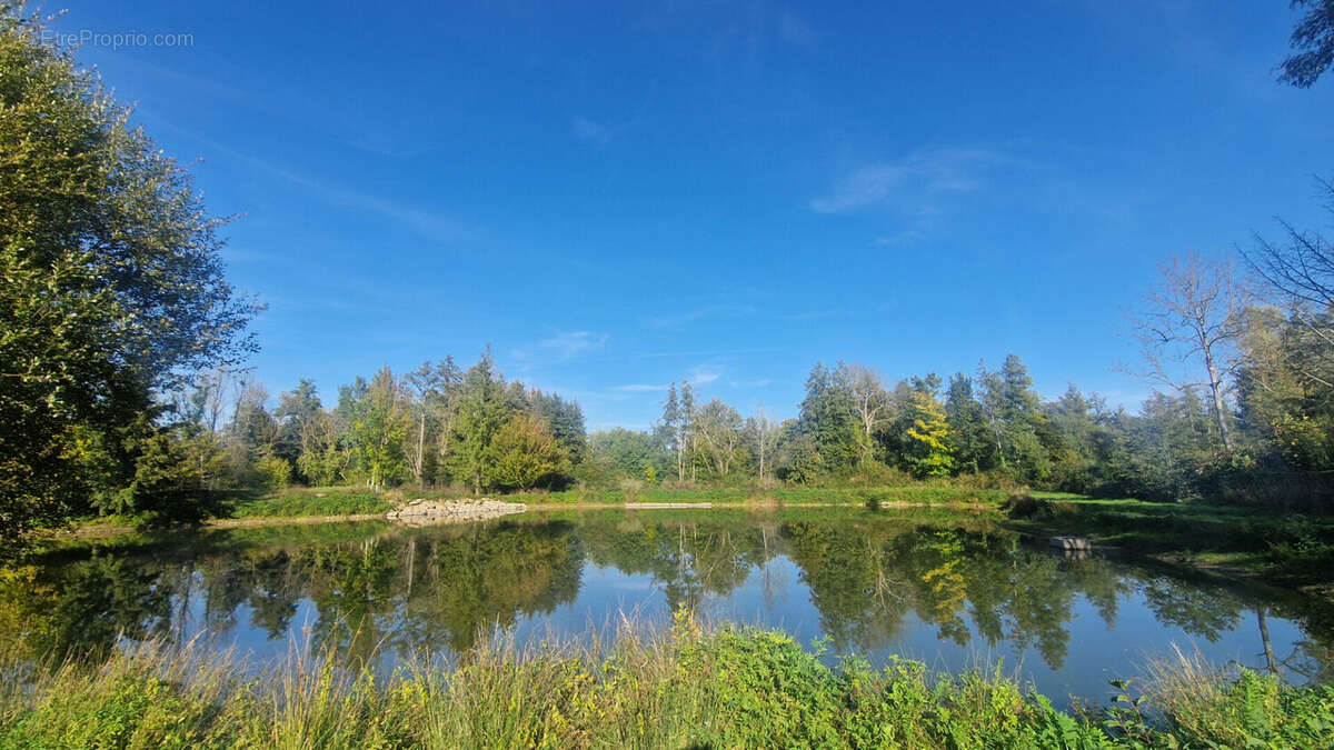 Terrain à MAINTENON