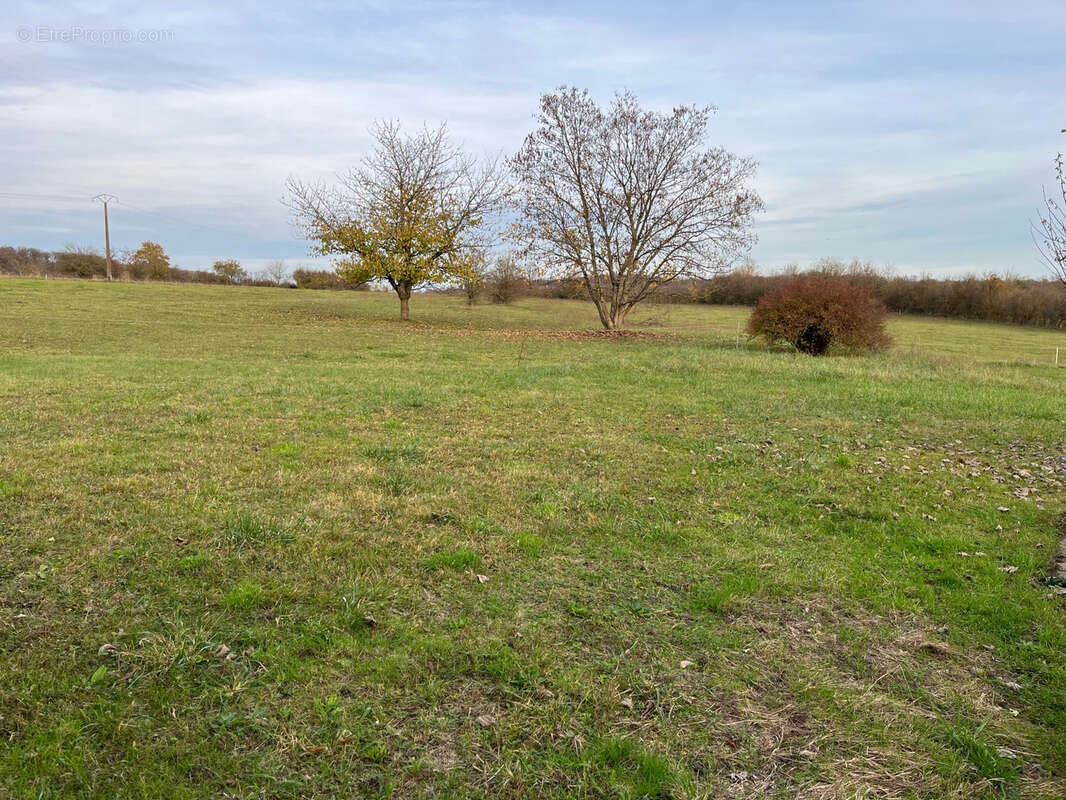 Maison à SARREINSMING