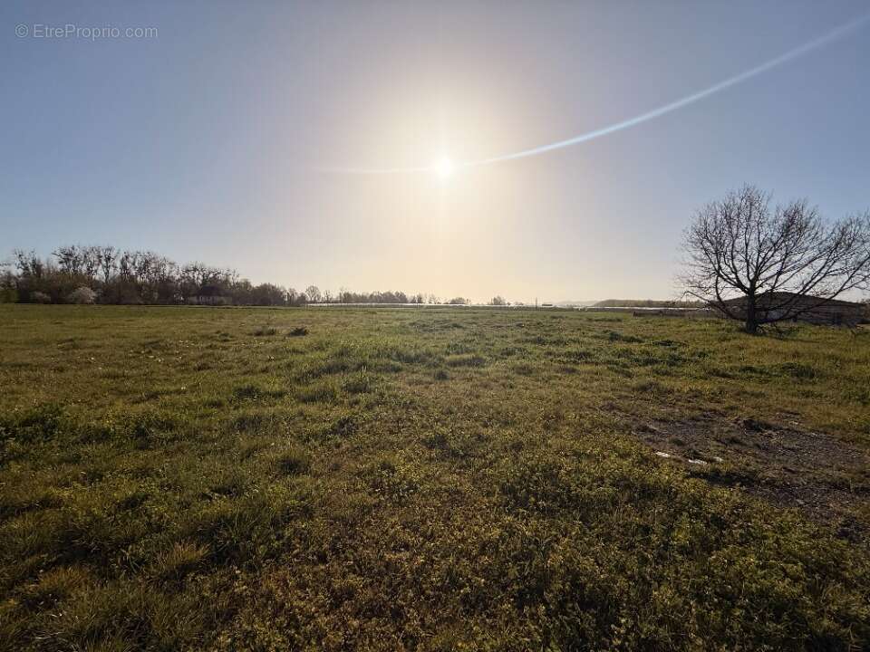 Terrain 949 m² à Lamonzie-Saint-Martin  - photo 4