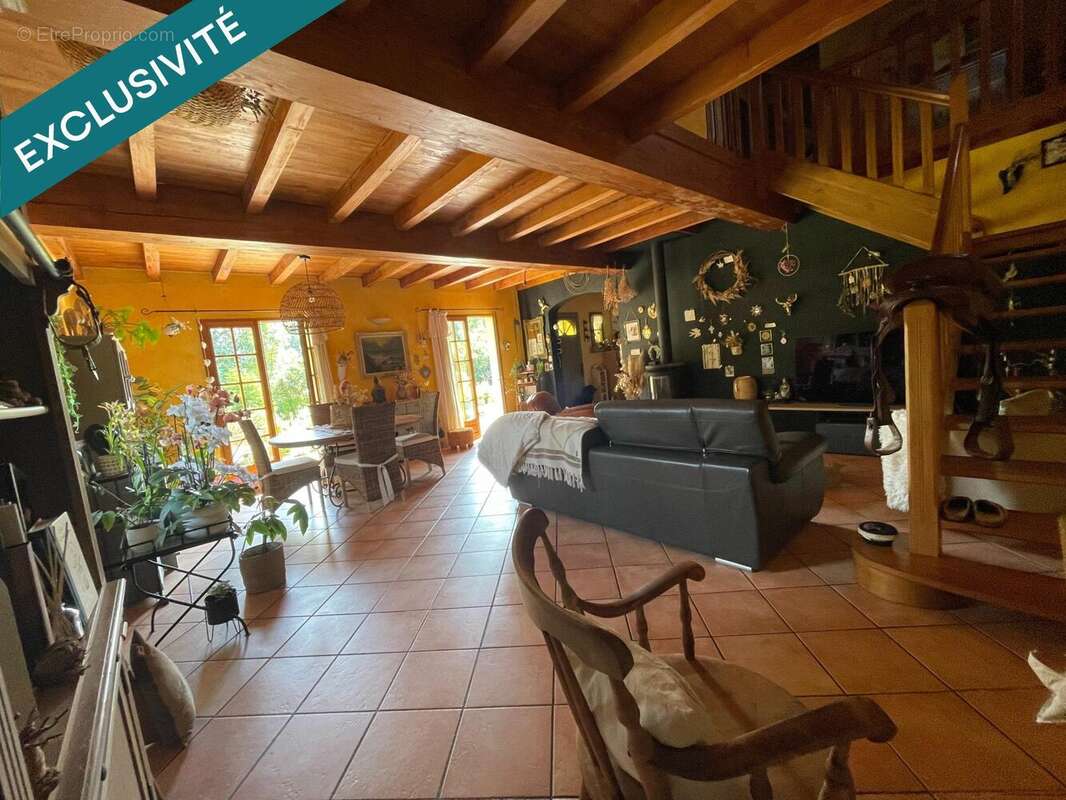 Photo 5 - Maison à LA BARTHE-DE-NESTE