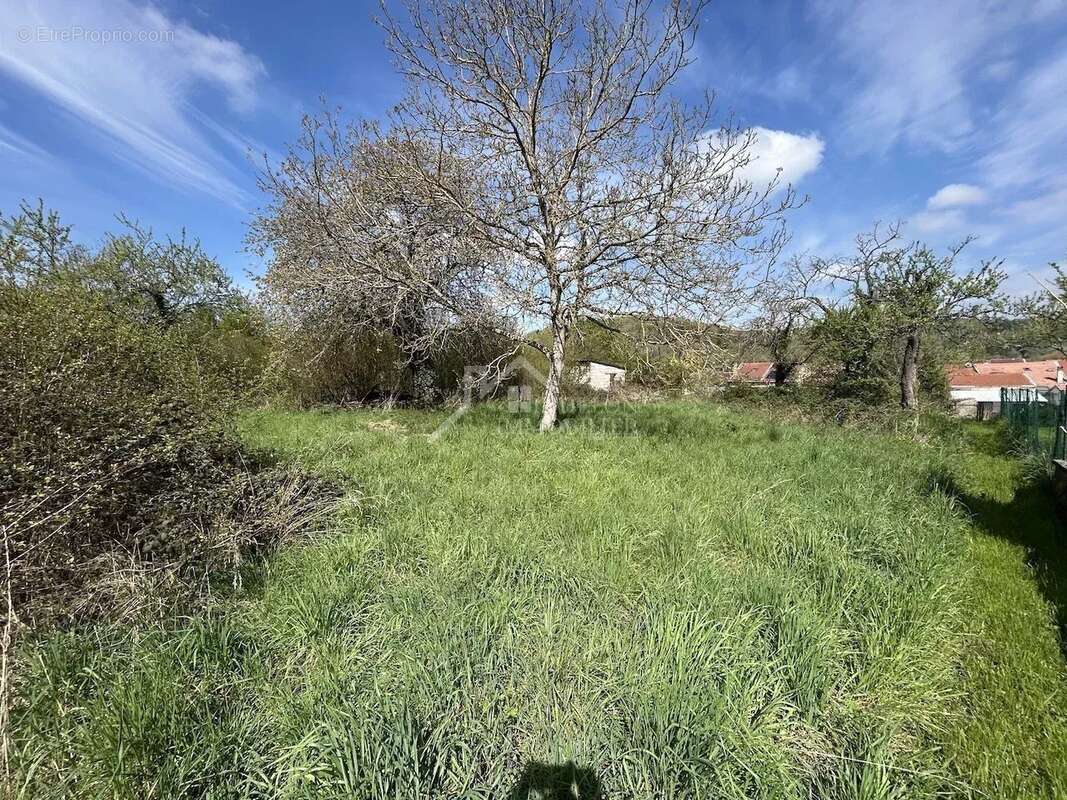 Terrain à MONTAUVILLE