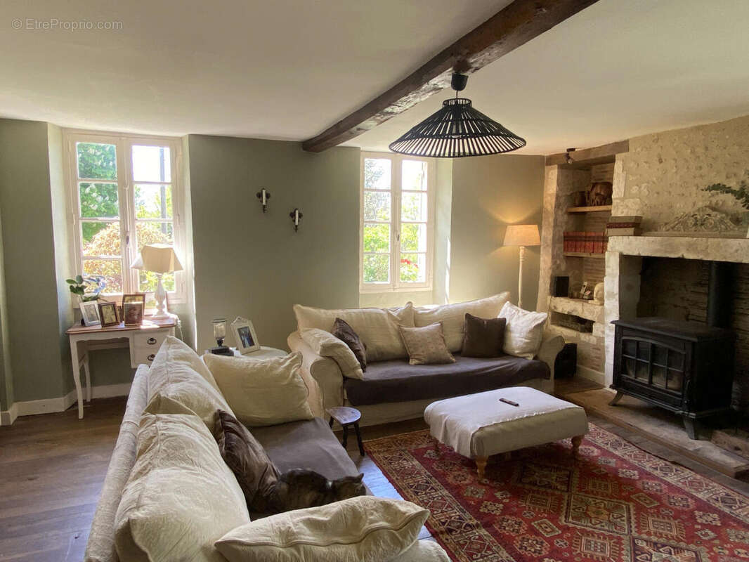 main house salon - Maison à AUBETERRE-SUR-DRONNE