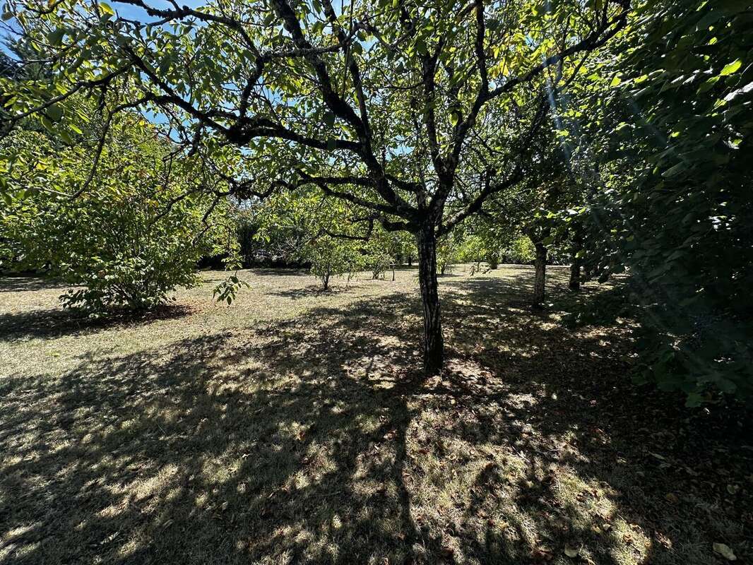 Maison à LOUBES-BERNAC