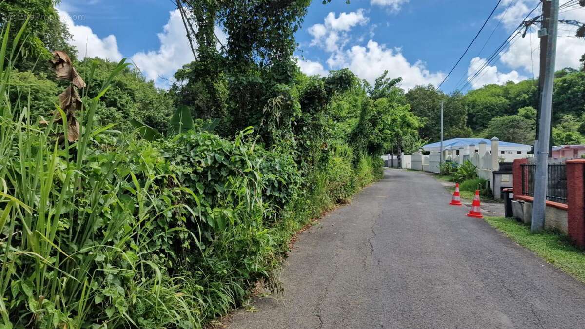 Terrain à LES ABYMES