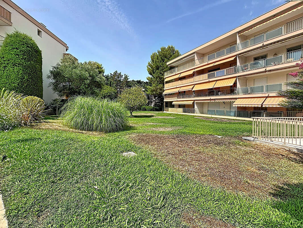 Emplacement unique 2 pieces avec terrasses parking et cave au calme - photo 12