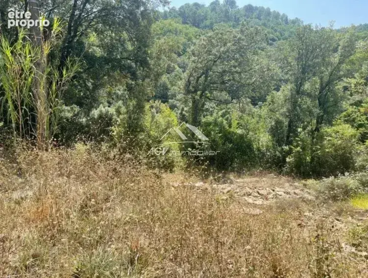 Saint Jean du Pin, terrain à bâtir viabilisé 1027 m² - photo 2