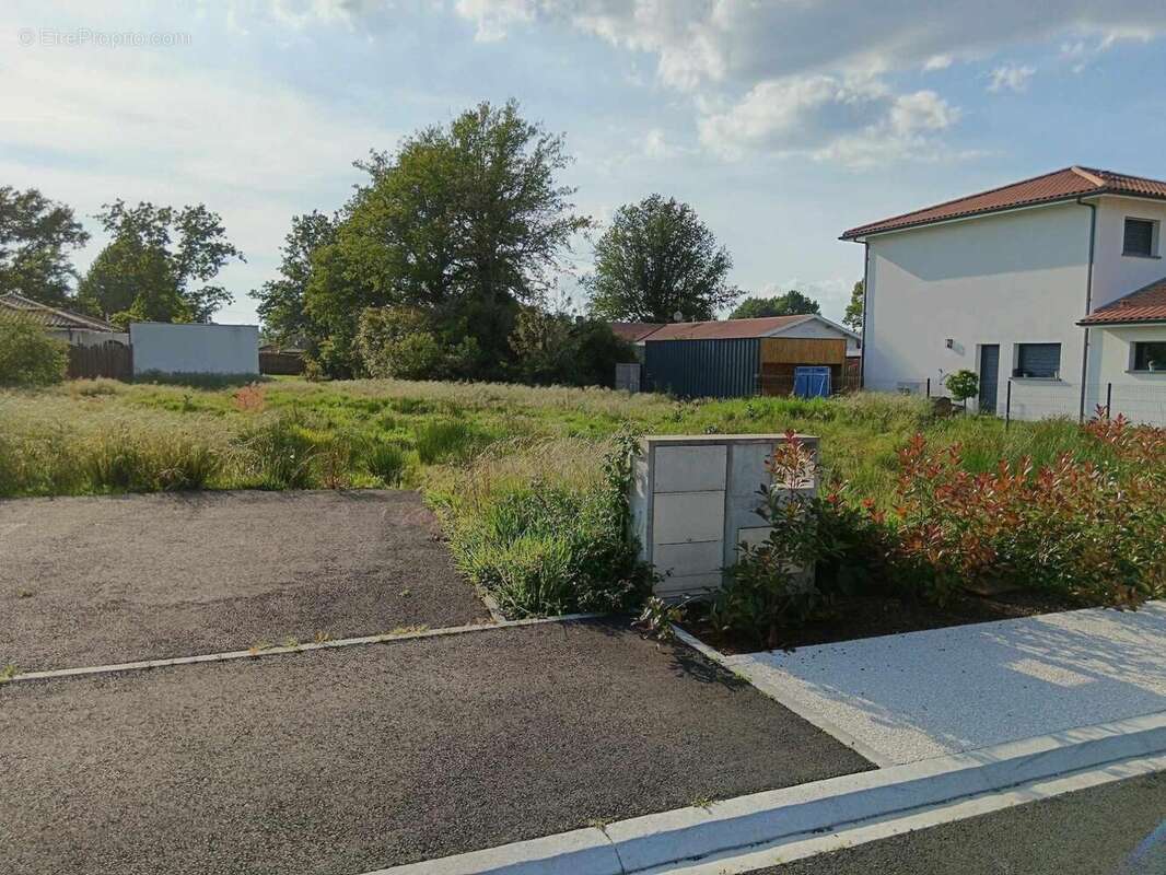 Photo 2 - Terrain à MIOS