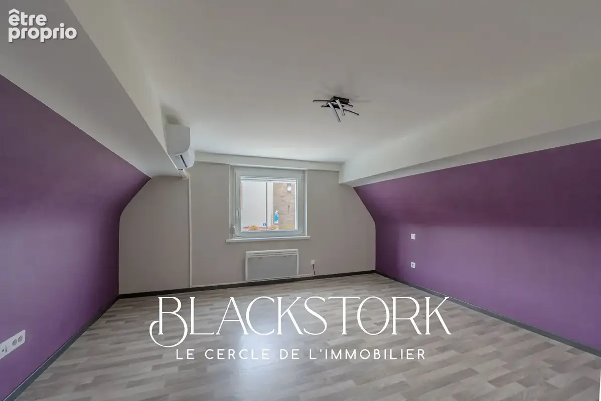 Maison rénovée, garage 50 m² avec local indépendant - Mutzenhouse - photo 16