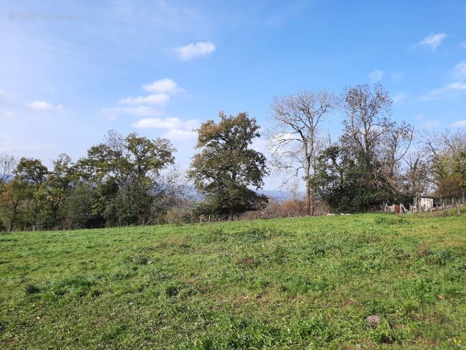 Terrain à MONTREDON