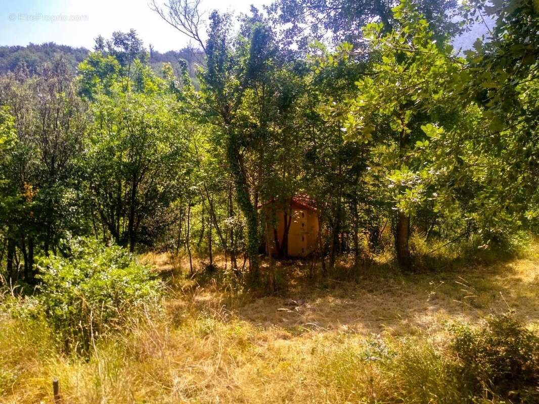 Photo 2 - Terrain à RIA-SIRACH