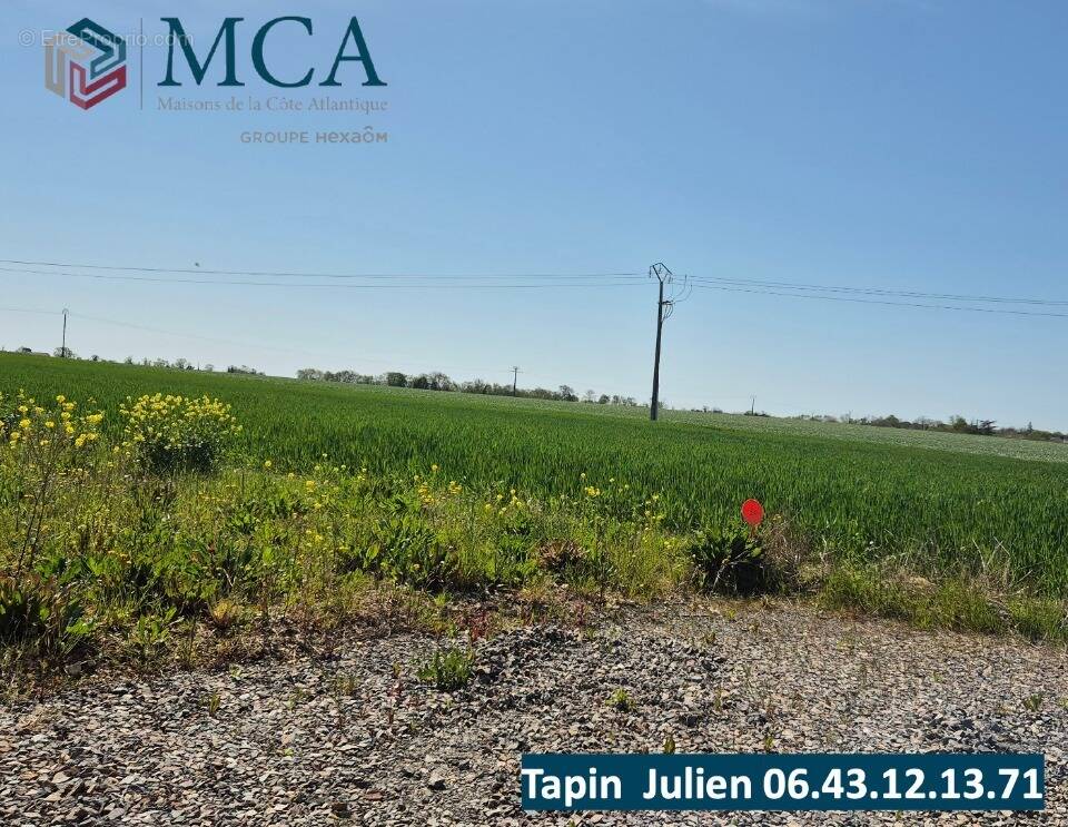Terrain 250 m² à Saint-Medard-D'aunis  - photo 1