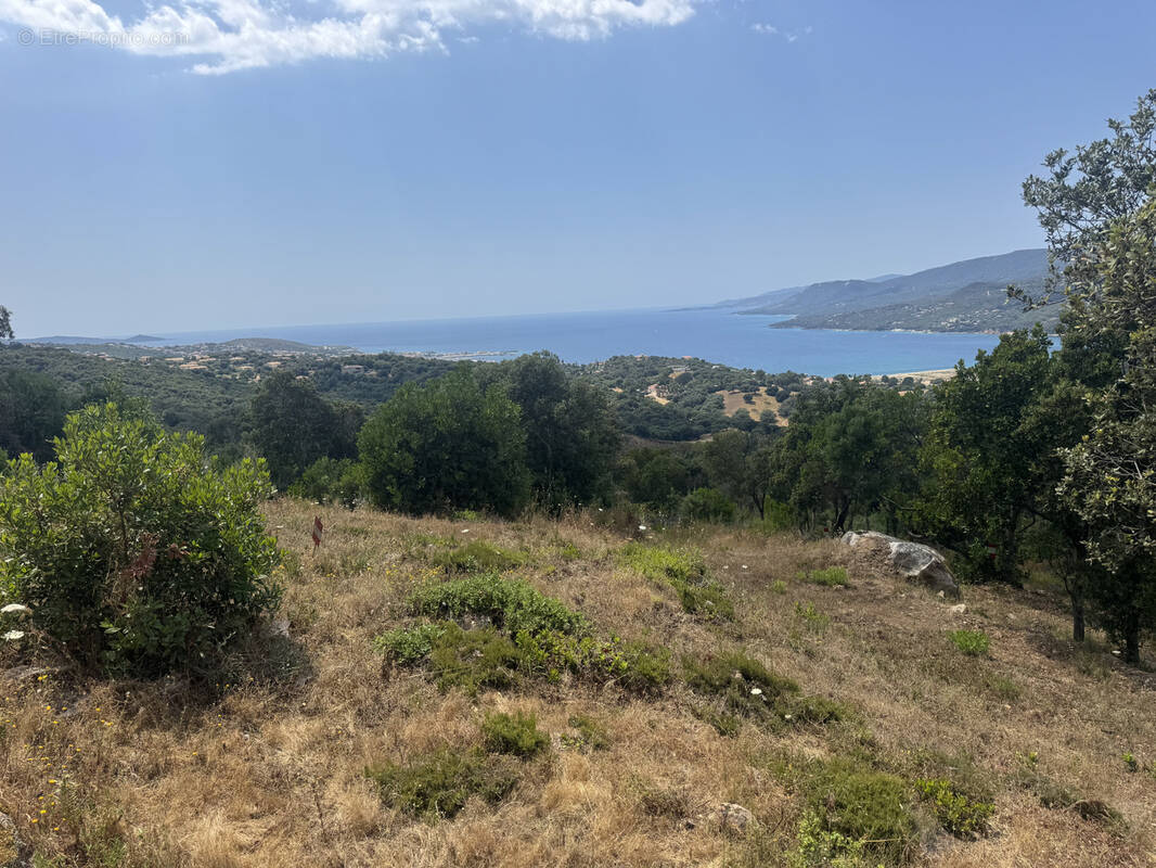 Terrain à VIGGIANELLO