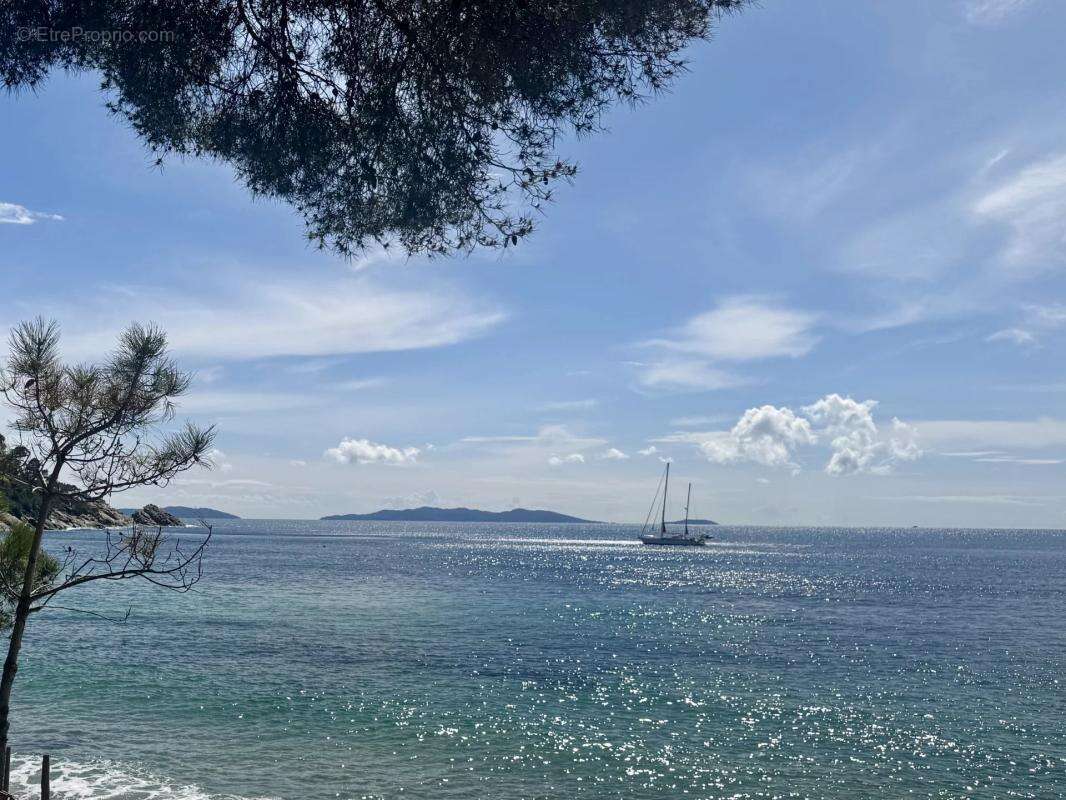 Maison à LE LAVANDOU