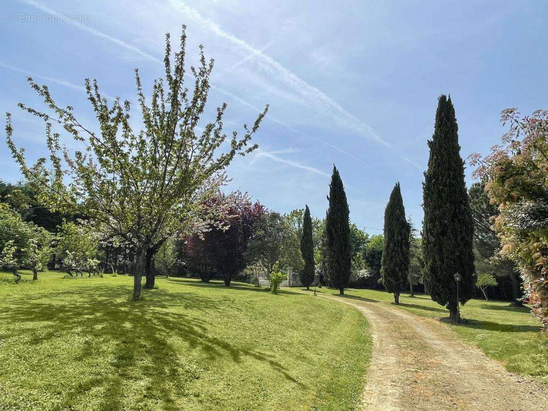 Maison à CASTERA-VERDUZAN