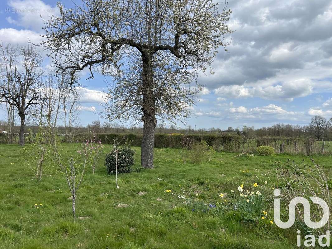 Photo 6 - Maison à DIGOIN