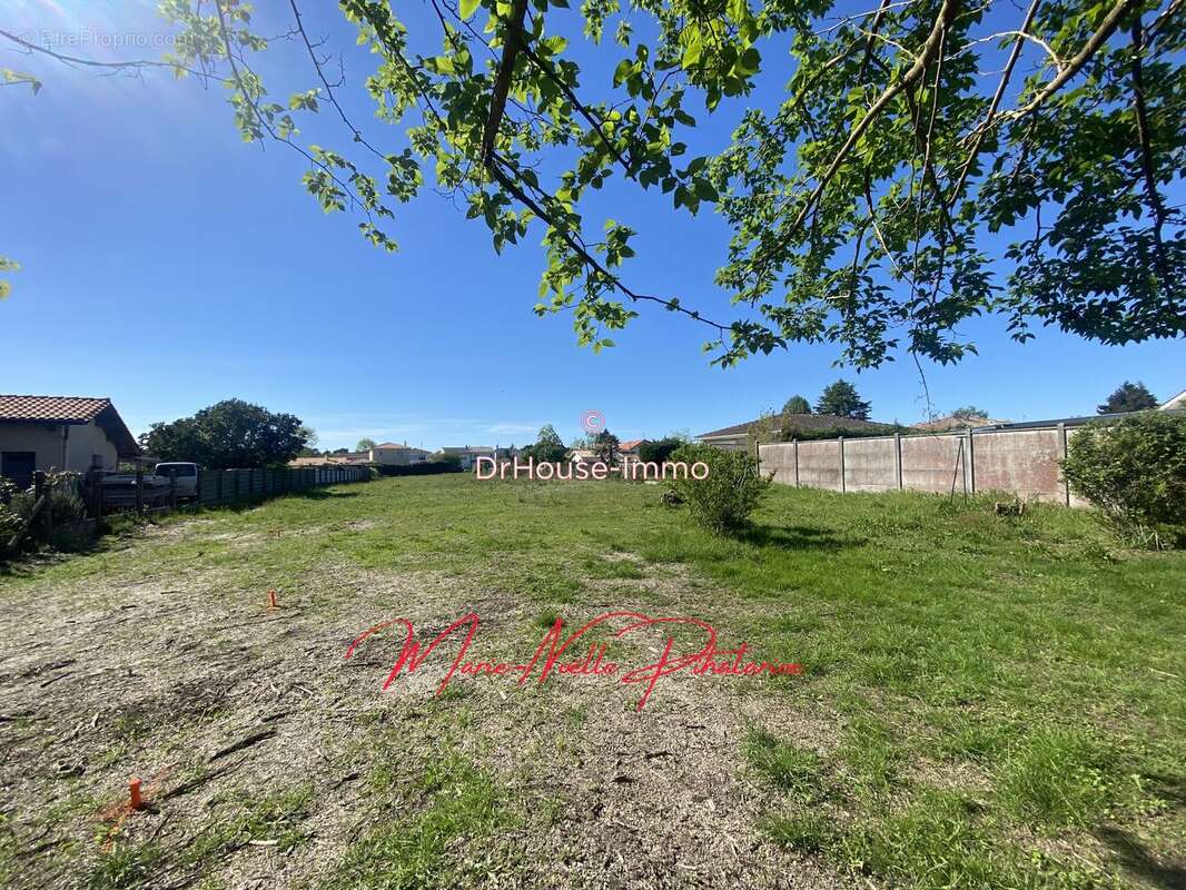 Terrain à SAINT-MEDARD-EN-JALLES