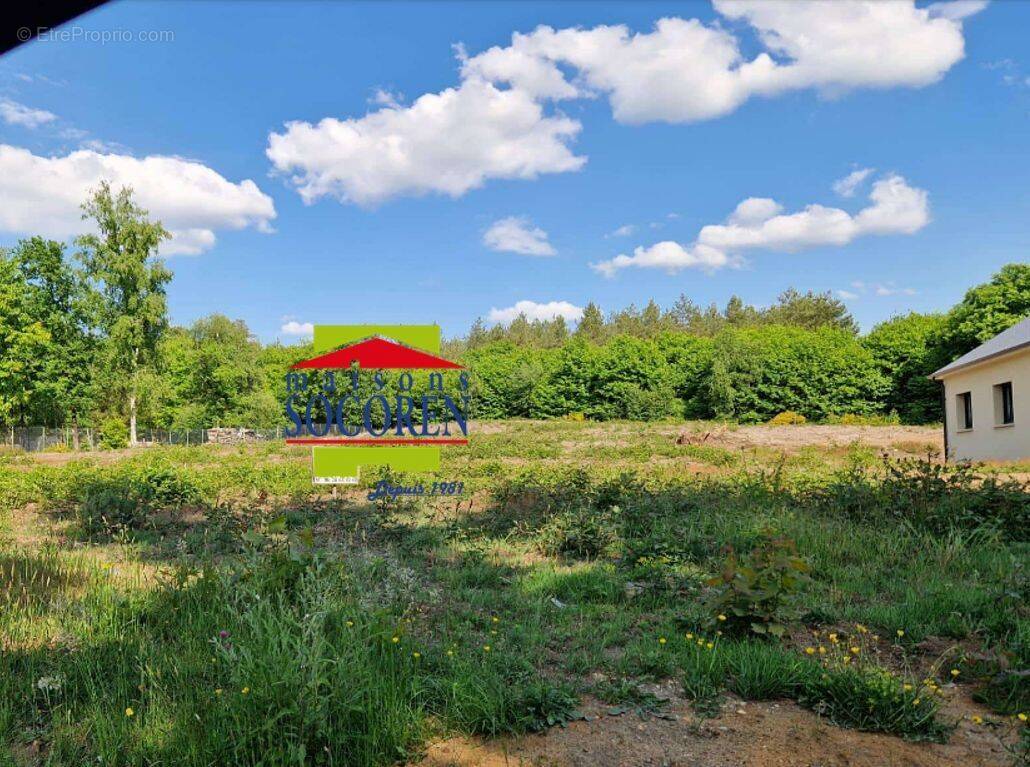 Terrain à CHAMPAGNE