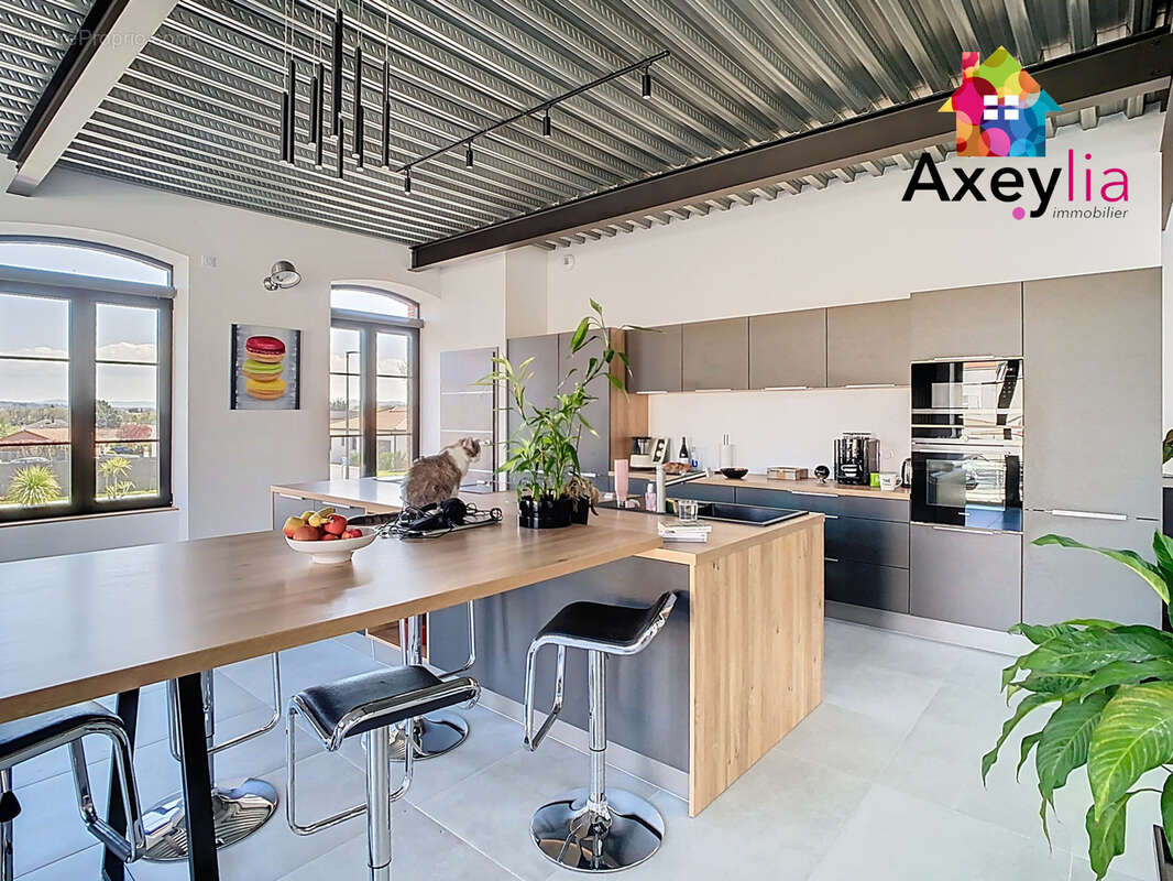 A vendre- roanne bord de loire - maison de ville type loft avec terrain et piscine - photo 5
