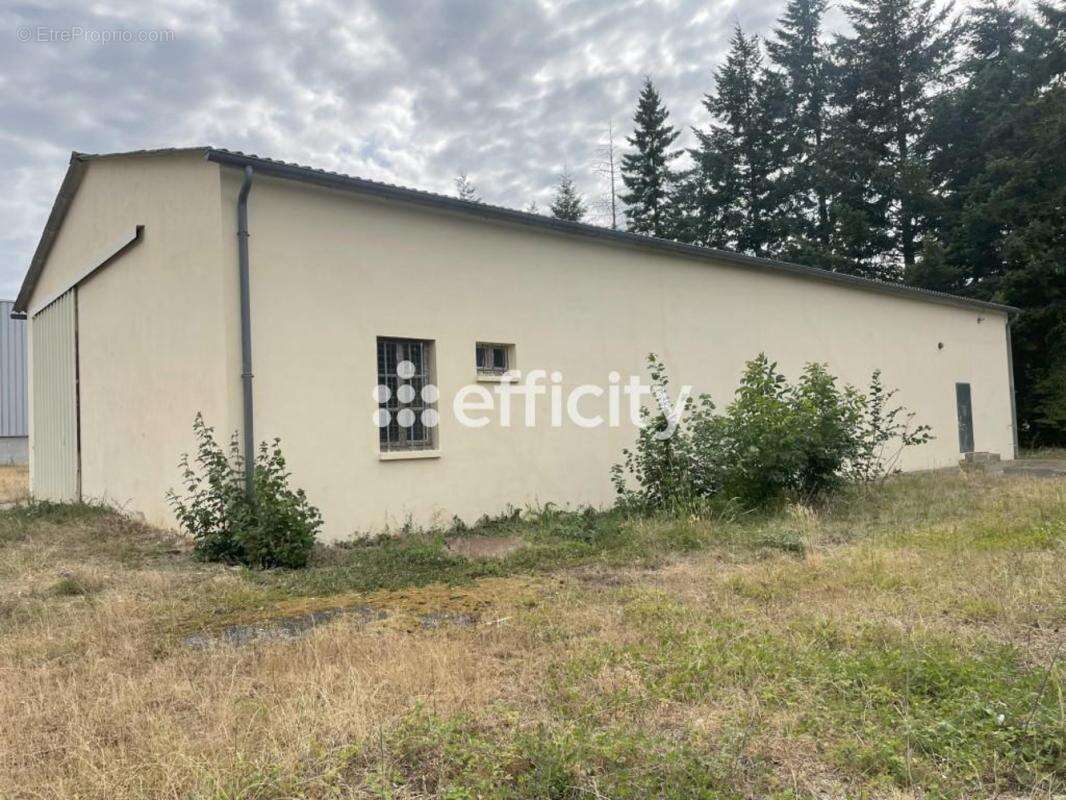 Locaux/Biens immobiliers - photo 11