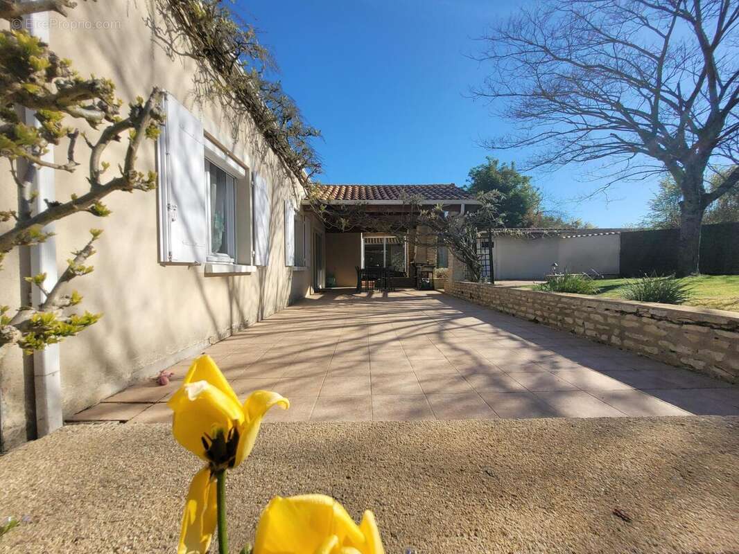 Photo 4 - Maison à VOUILLE