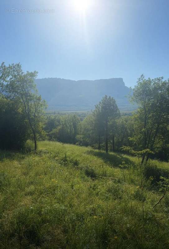 Terrain à LES MOLLETTES