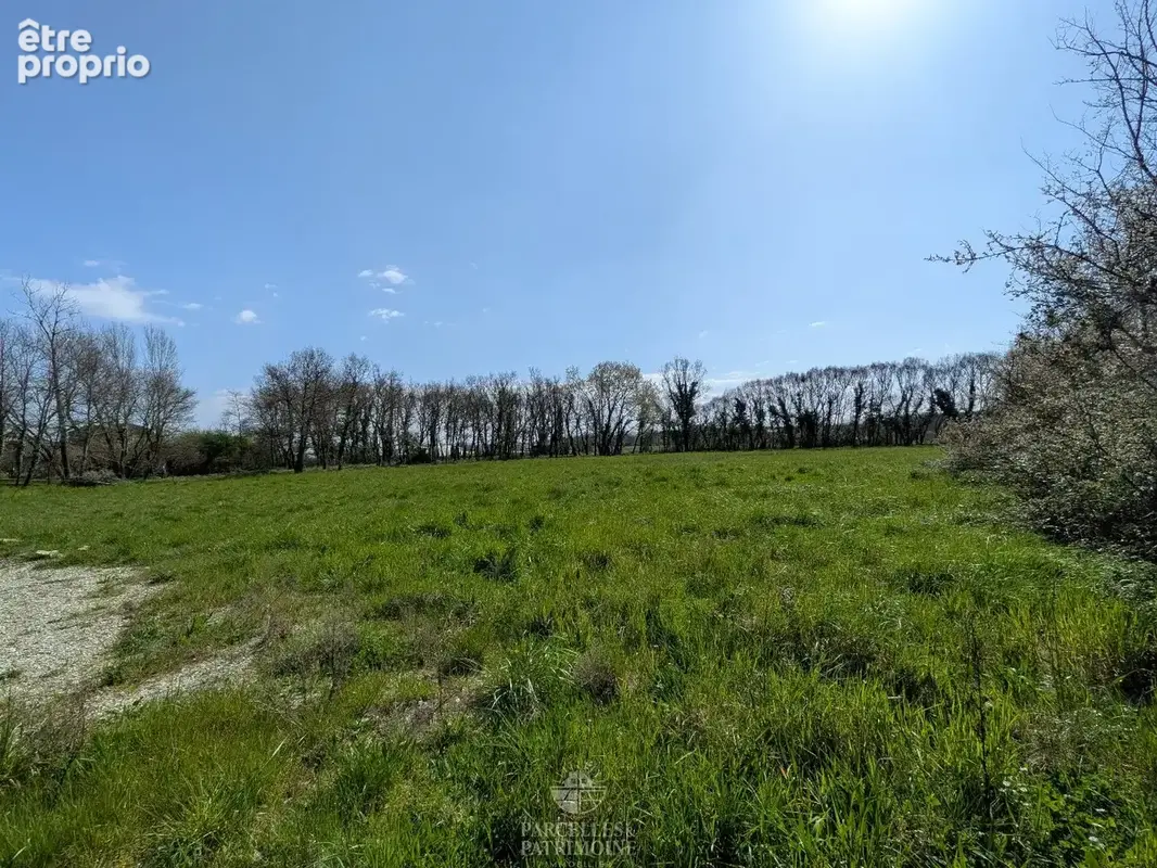 Exclusivité Terrain viabilisé 1 440m² - Calme quartier résidentiel - photo 7