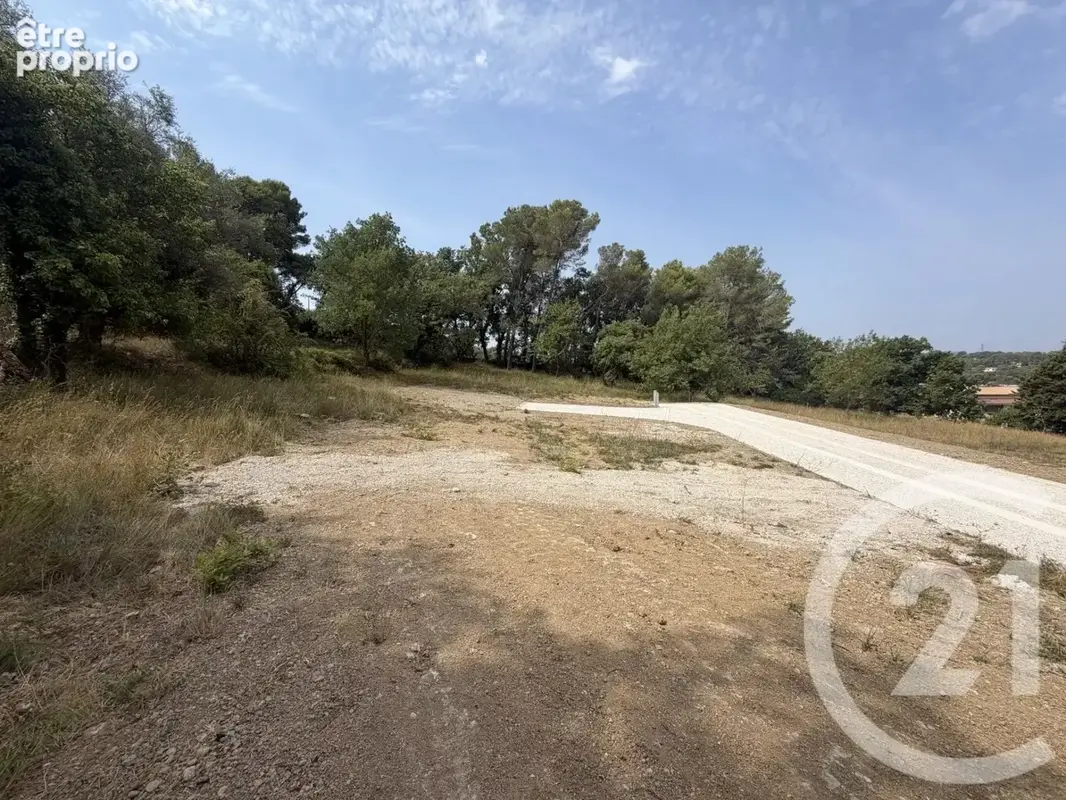 Terrain 2433 m² à Mougins  - photo 6