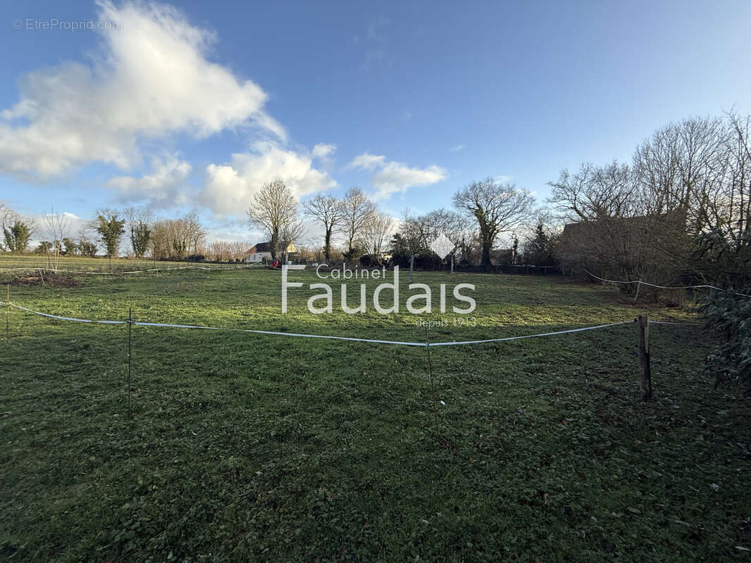 Terrain à SAINT-AMAND