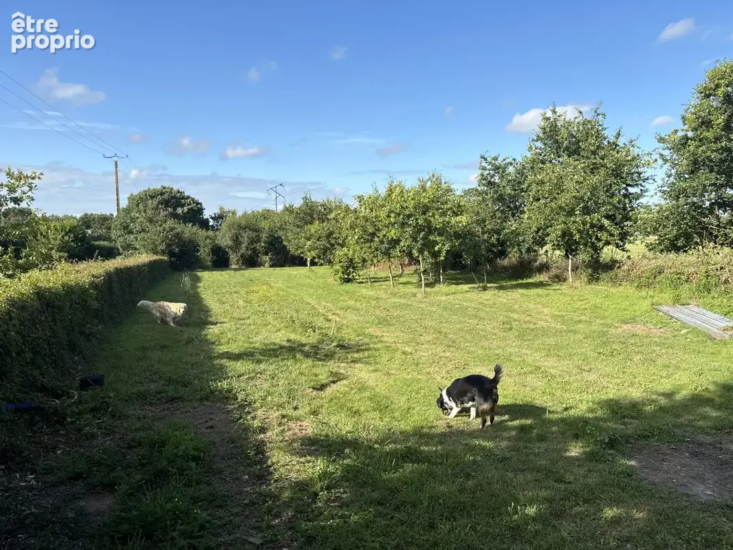 Maison 7 pièces 204 m² à vendre à Crossac (44160) - photo 9