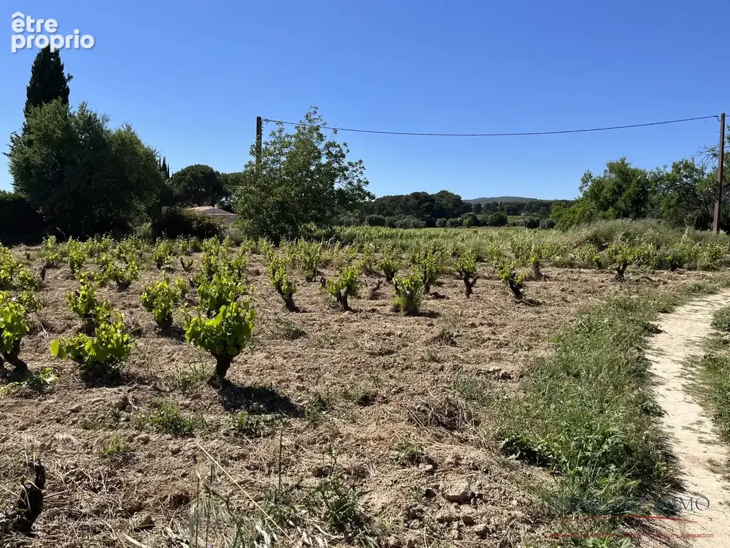 Photo Terrain à Le Castellet au prix de 12 000€
