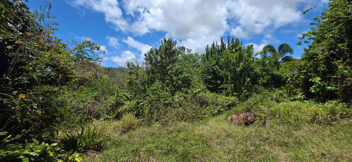 Terrain à LE FRANCOIS