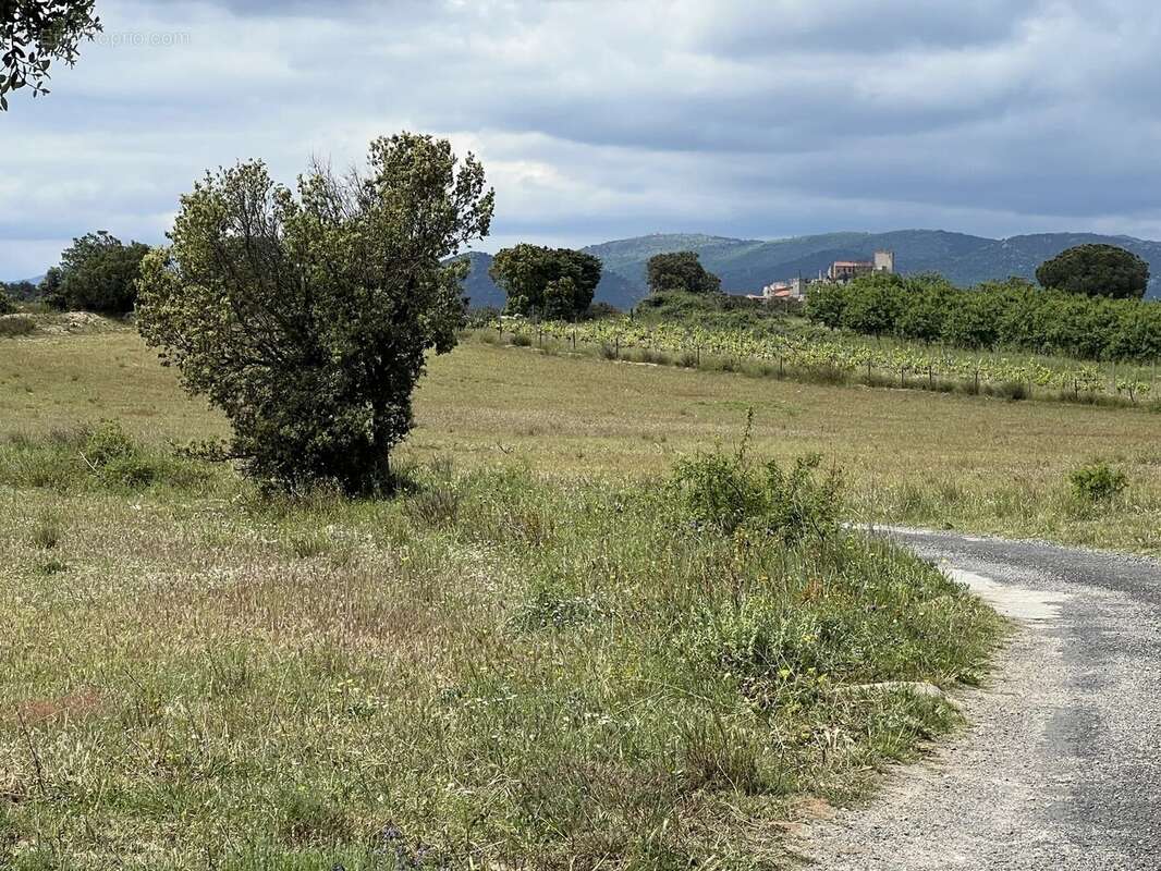 Maison à ILLE-SUR-TET