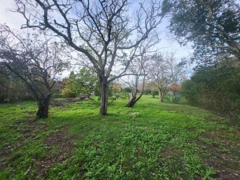 Terrain à MONTAIGUT-SUR-SAVE