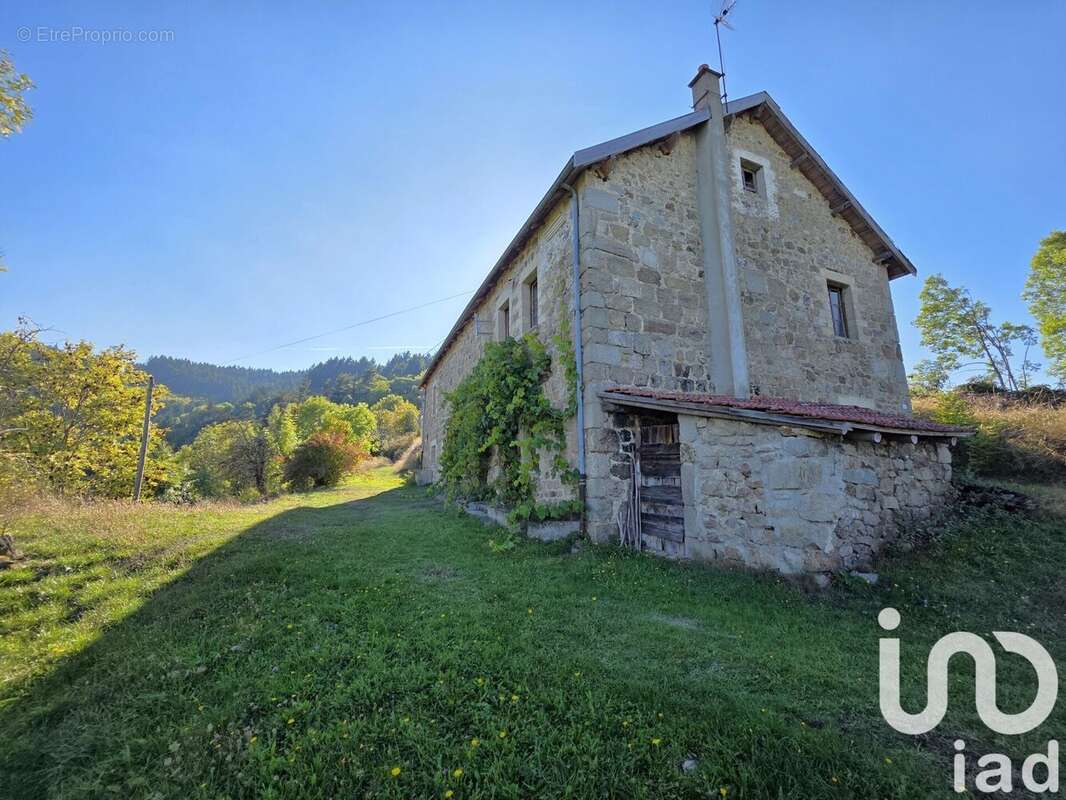 Photo 4 - Maison à SAINT-JEURE-D'ANDAURE