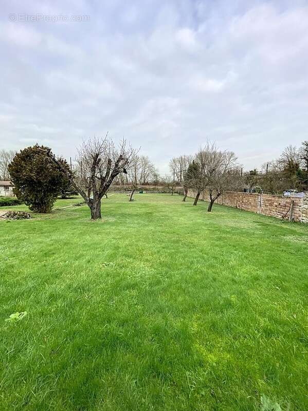 Photo 5 - Terrain à CHAMPIGNY