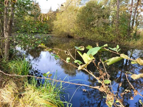 Terrain à STRASBOURG